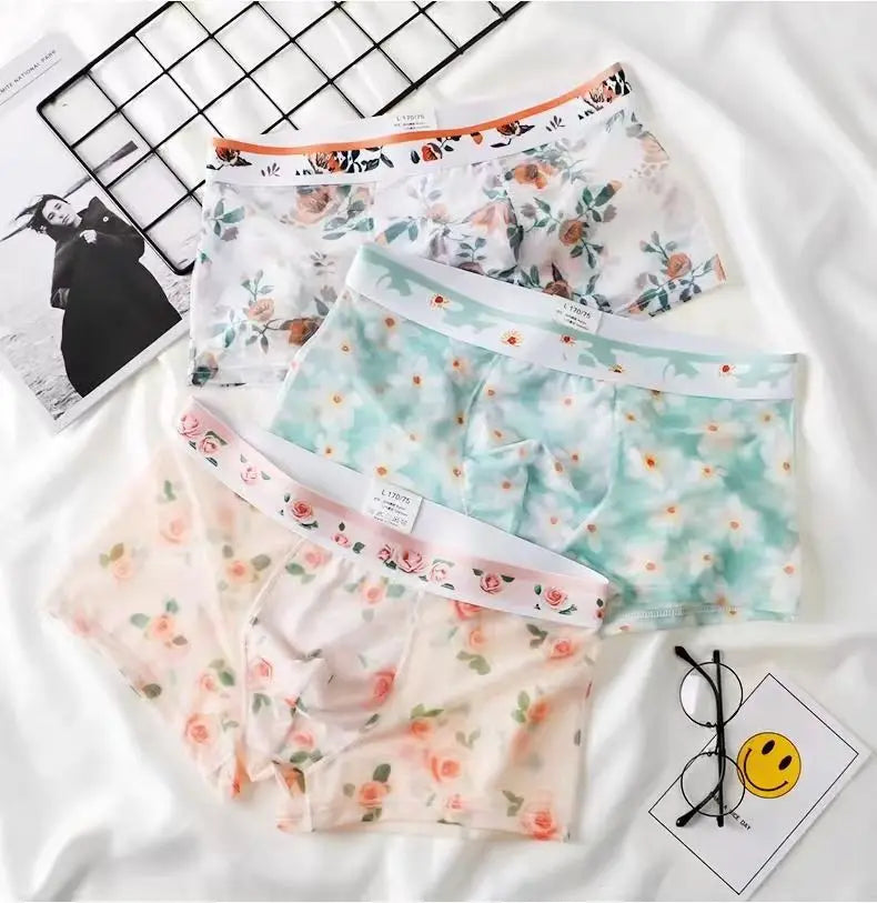 Transparent Mesh Boxers for Every Man
