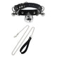 Sexy Leather BDSM Collar and Leash Set